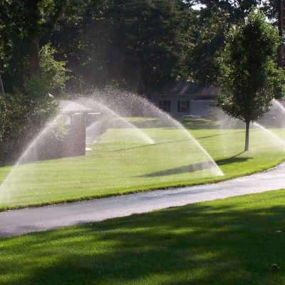 Award Winning Adelaide Landscaper 1