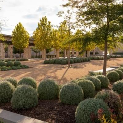 Award Winning Adelaide Landscaper 6