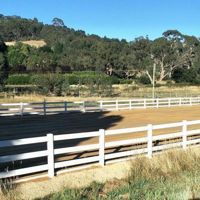 Horse Arena